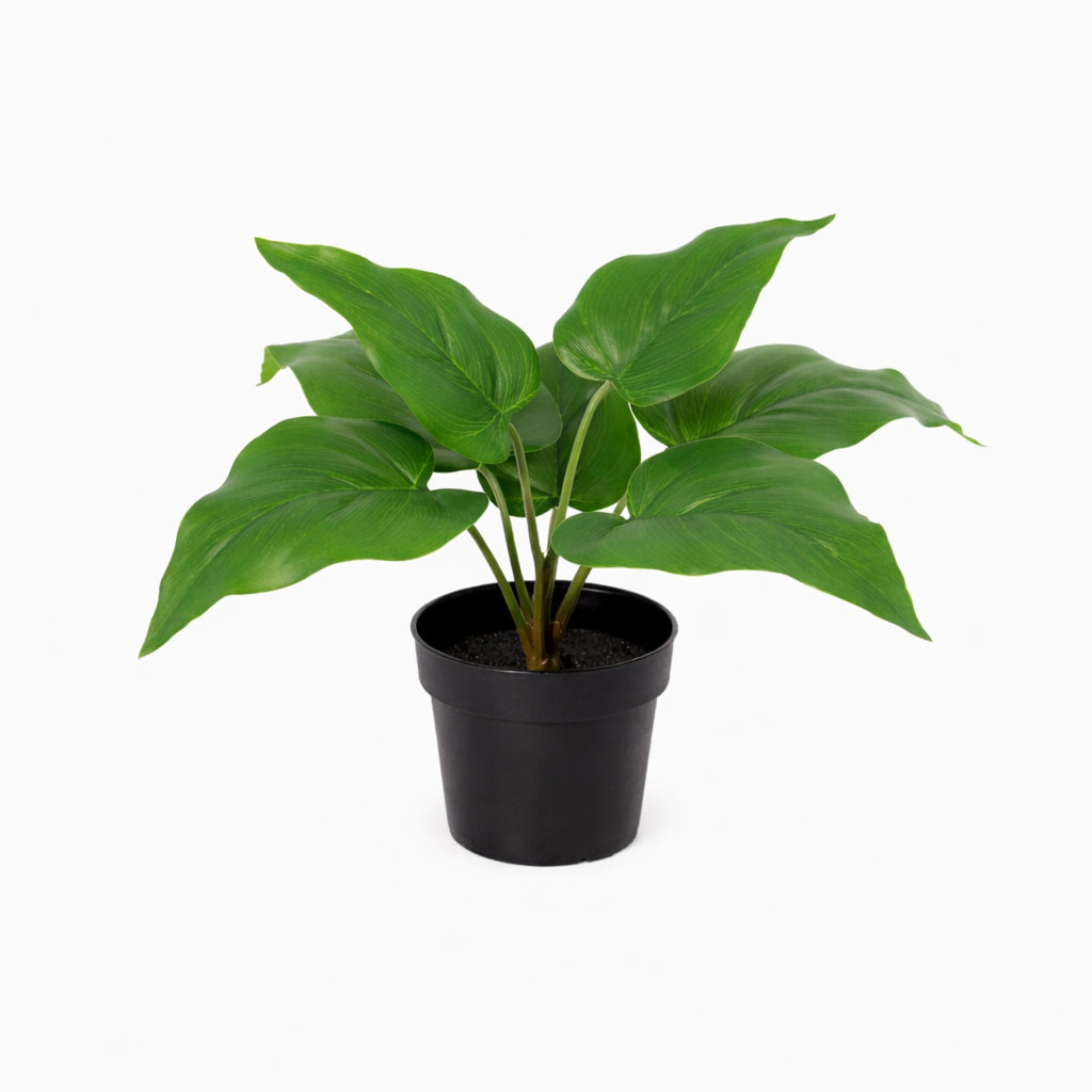 Philodendron Imperial Green Kunstpflanze 25 cm – modern und stilvoll