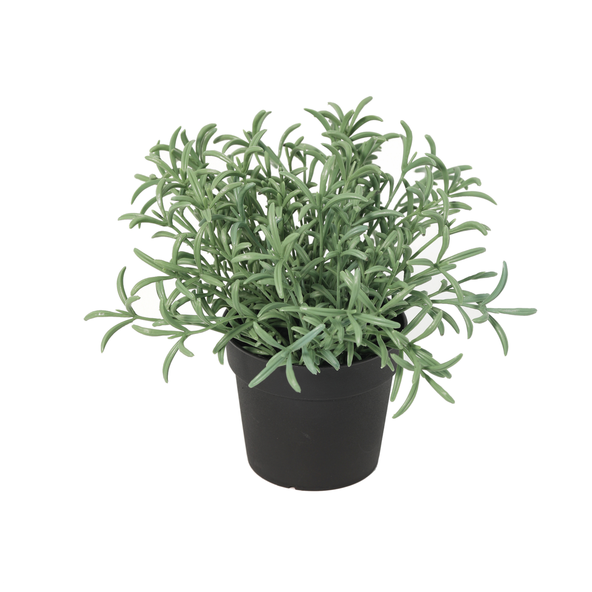 Kunstpflanze Currykraut Helichrysum italicum 18 cm